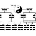 Bói bát quái là như thế nào? Xem mệnh theo ký tự bát quái, thứ tự bát quái?