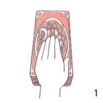 Hướng Dẫn Sử Dụng Bài Clow Cards
