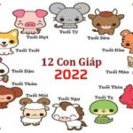 Xem Tử Vi Năm 2022 Của 12 Con Giáp - Dự Đoán Về Công Danh, Tình Duyên, Sức Khỏe
