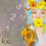 Thần số học: Đường tình duyên và hôn nhân của bạn trong năm 2022