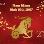 Tử Vi Tuổi Đinh Mùi 1967 Năm 2023 - Nam Mạng