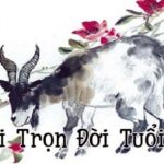 Tuổi Mùi hôm nay - Tử vi hàng ngày tuổi Mùi - Tổng quan tuổi Mùi