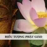 Tìm hiểu 8 biểu tượng phổ biến nhất trong Phật giáo