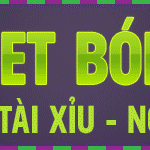 Bói bài Tây 32 lá – ý nghĩa các quân bài & hướng dẫn cách bói