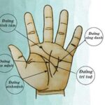 Xem nhân tướng học chỉ tay biết về sự nghiệp của bạn