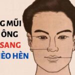 Tướng Mũi Đàn Ông Có Mấy Loại? Tướng Mũi Giàu Sang Là Tướng Như Thế Nào?