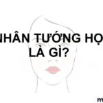 Xem Nhân Tướng Học Tiết Lộ Điều Gì Về Vận Mệnh Cuộc Đời Một Người