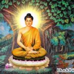 Phật, Bồ Tát là gì? Có bao nhiêu vị Phật, Bồ Tát?