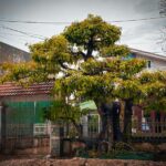 Những câu chuyện khiến bạn tin tâm linh có thật