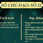 Ý nghĩa số Chủ đạo 22/4 (số 22) trong Thần số học chi tiết 2023