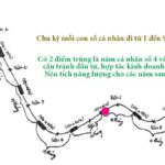 Tác động của Con số năm cá nhân đến vận mệnh và tài lộc năm 2022