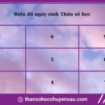Cách lập và thấu hiểu bản đồ ngày sinh trong thần số học Pythagoras