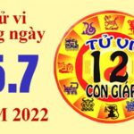 Tử vi hôm nay, xem tử vi 12 con giáp ngày 15/7/2022: Tuổi Tỵ vận trình tài lộc rất tốt