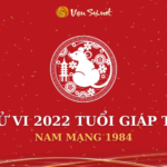 Tử Vi Tuổi Giáp Tý Năm 2022 - Nam Mạng 1984 Chi Tiết