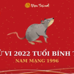 Tử Vi Tuổi Bính Tý Năm 2022 - Nam Mạng 1996 Chi Tiết