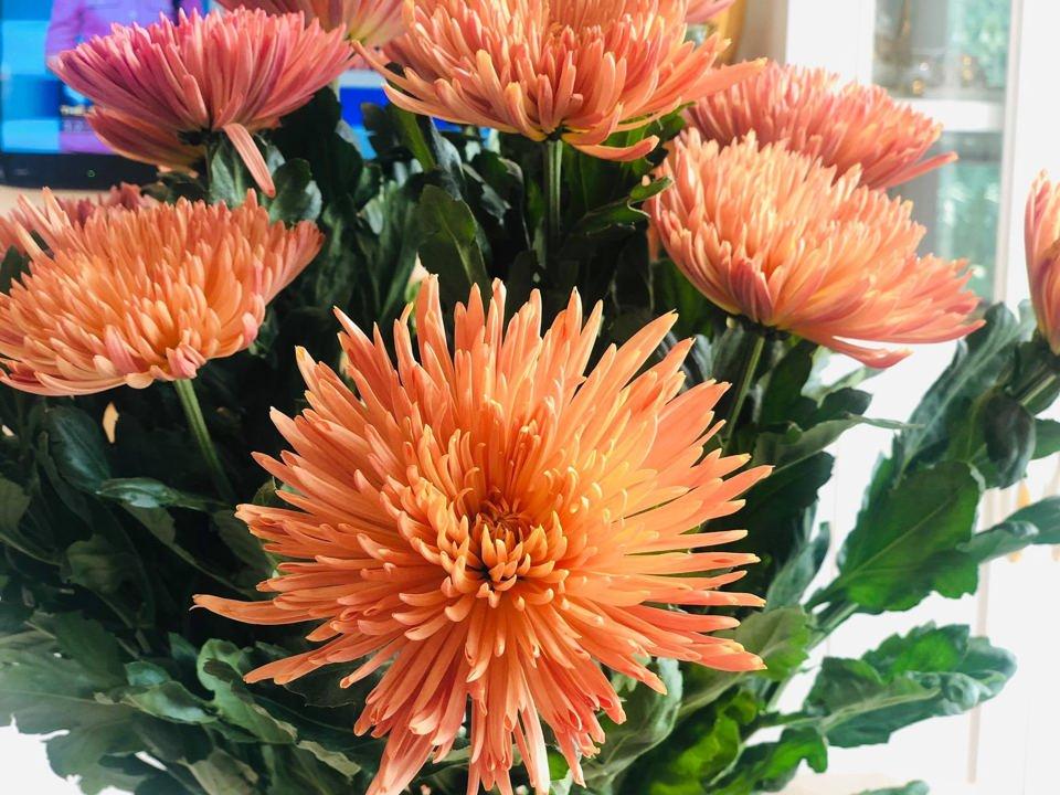 Tử vi hôm nay 21/3/2022 của 12 cung hoàng đạo - Ảnh 1