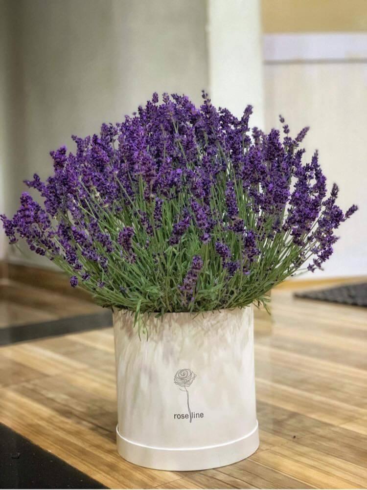 Tử vi hôm nay 22/3/2022 của 12 cung hoàng đạo - Ảnh 1