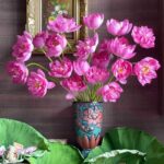 Tử vi hôm nay 23/6/2022 của 12 cung hoàng đạo