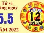 Tử vi hôm nay, xem tử vi 12 con giáp ngày 4/5/2022: Tuổi Dậu cân nhắc chuyện tiền bạc