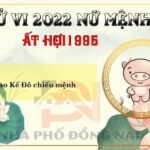 Xem Tử Vi Tuổi Ất Hợi 1995 Năm 2022 Nữ Mạng