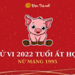 Tử Vi Tuổi Ất Hợi Năm 2022 - Nữ Mạng 1995 Chi Tiết