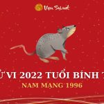 Tử Vi Tuổi Bính Tý Năm 2022 - Nam Mạng 1996 Chi Tiết