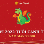 Tử Vi Tuổi Canh Thìn Năm 2022 - Nam Mạng 2000 Chi Tiết
