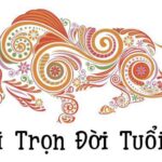 Tuổi Sửu hôm nay - Tử vi hàng ngày tuổi Sửu - Tổng quan tuổi Sửu