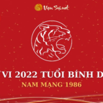 Tử Vi Tuổi Bính Dần Năm 2022 - Nam Mạng 1986 Chi Tiết
