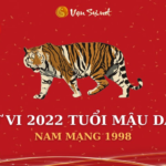 Tử Vi Tuổi Mậu Dần Năm 2022 - Nam Mạng 1998 Chi Tiết