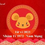 Tử Vi Tuổi Nhâm Tý 1972 Năm 2023 - Nam Mạng