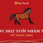 Tử Vi Tuổi Nhâm Ngọ Năm 2022 - Nữ Mạng 2002 Chi Tiết