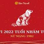 Tử Vi Tuổi Nhâm Tuất Năm 2022 - Nữ Mạng 1982 Chi Tiết