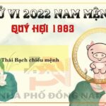 Xem Tử Vi Tuổi Quý Hợi 1983 Năm 2022 Nam Mạng