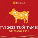 Tử Vi Tuổi Tân Hợi Năm 2022 - Nữ Mạng 1971 Chi Tiết