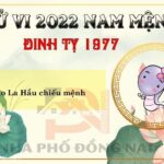 Xem Tử Vi Tuổi Đinh Tỵ 1977 Năm 2022 Nam Mạng