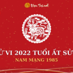 Tử Vi Tuổi Ất Sửu Năm 2022 - Nam Mạng 1985 Chi Tiết