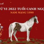 Tử Vi Tuổi Canh Ngọ Năm 2022 - Nam Mạng 1990 Chi Tiết