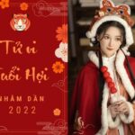 Tử vi năm Nhâm Dần 2022 của người tuổi Hợi