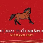 Giải mã tử vi tuổi Nhâm Ngọ 2002 năm 2022 trên mọi phương diện
