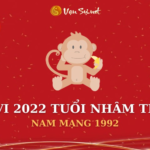 Tử Vi Tuổi Nhâm Thân Năm 2022 - Nam Mạng 1992 Chi Tiết