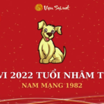 Tử Vi Tuổi Nhâm Tuất Năm 2022 - Nam Mạng 1982 Chi Tiết