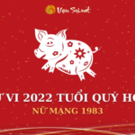 Tử Vi Tuổi Quý Hợi Năm 2022 - Nữ Mạng 1983 Chi Tiết
