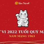 Tử Vi Tuổi Quý Mão Năm 2022 - Nam Mạng 1963 Chi Tiết