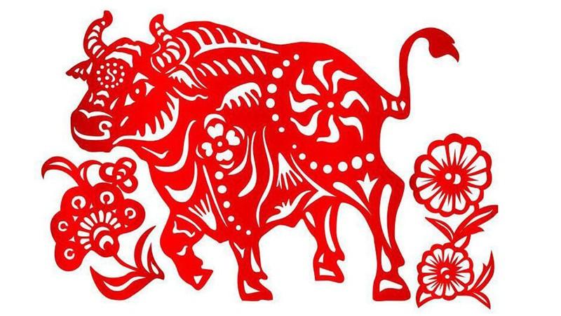 Xem tử vi tuổi Sửu 2022 mới nhất: Đón nhận nhiều khởi sắc mới