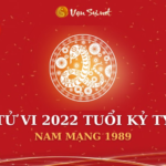 Tử Vi Tuổi Kỷ Tỵ Năm 2022 - Nam Mạng 1989 Chi Tiết