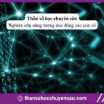 Thần số học chuyên sâu giải thích mức tương hợp mối quan hệ của bạn