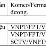 Fiato Premier Thủ Đức