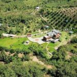 Biệt phủ rộng 10.000m2 nằm lưng chừng núi đẹp mê của cặp vợ chồng Sài Gòn