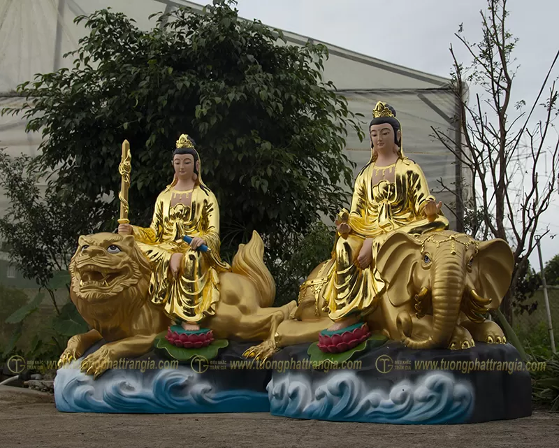 van thu bo tat va pho hien bo tat 4